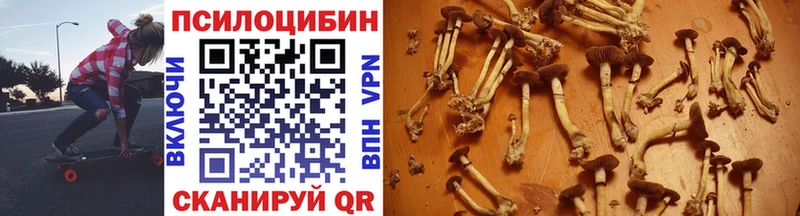 сайты даркнета как зайти Тара Галлюциногенные грибы Cubensis магазин наркотиков