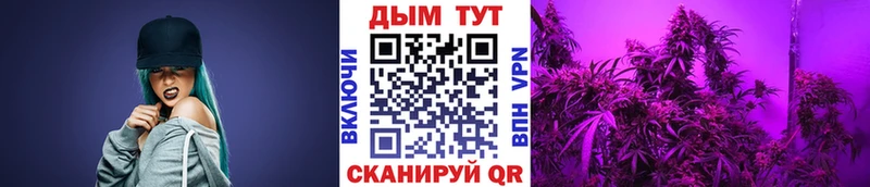 MEGA вход  Тара  Марихуана тримм  купить закладку 